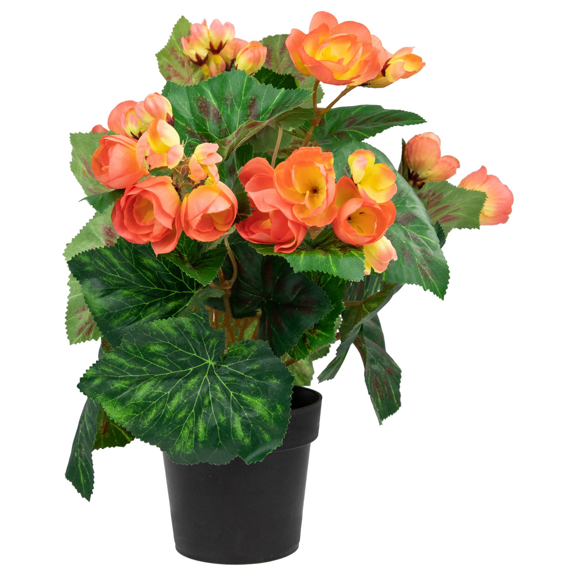 11" Potted Silk Begonia Floral Arrangement